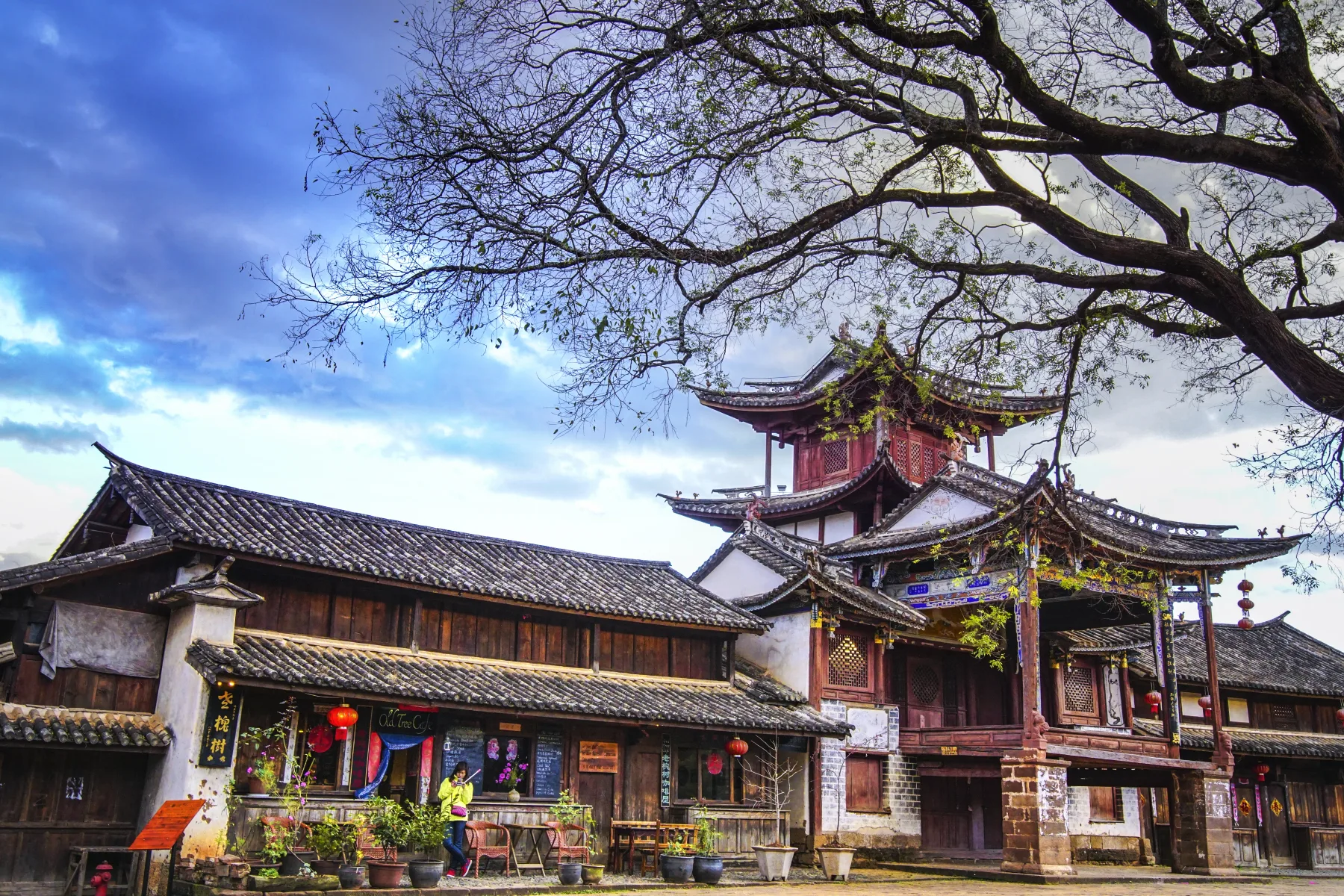 A large tree, old timber buildings and a quiet street in Shaxi Old Town near Dali