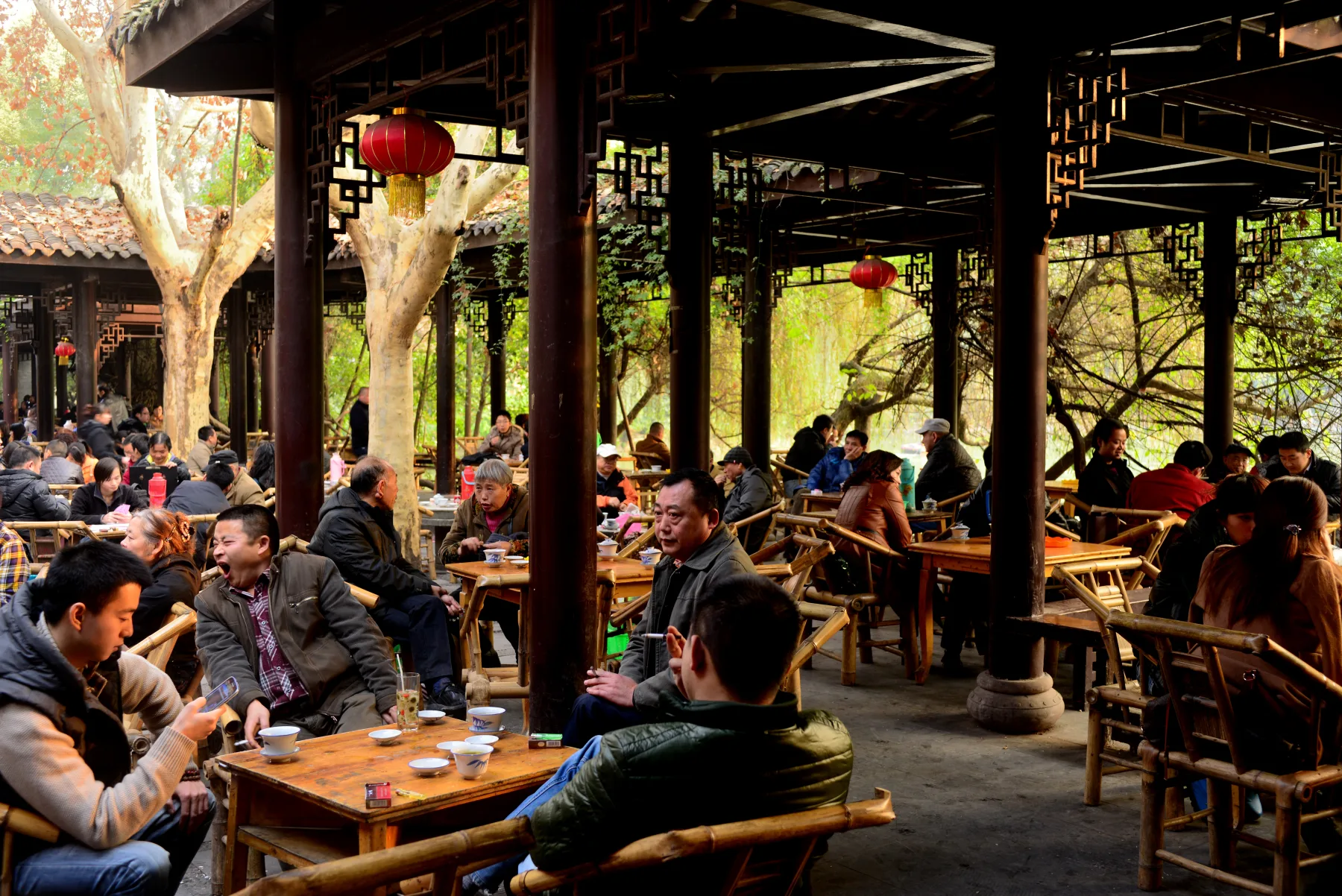 Crowded bamboo tables beneath trees and covered walkways at a teahouse in Chengdu People's Park